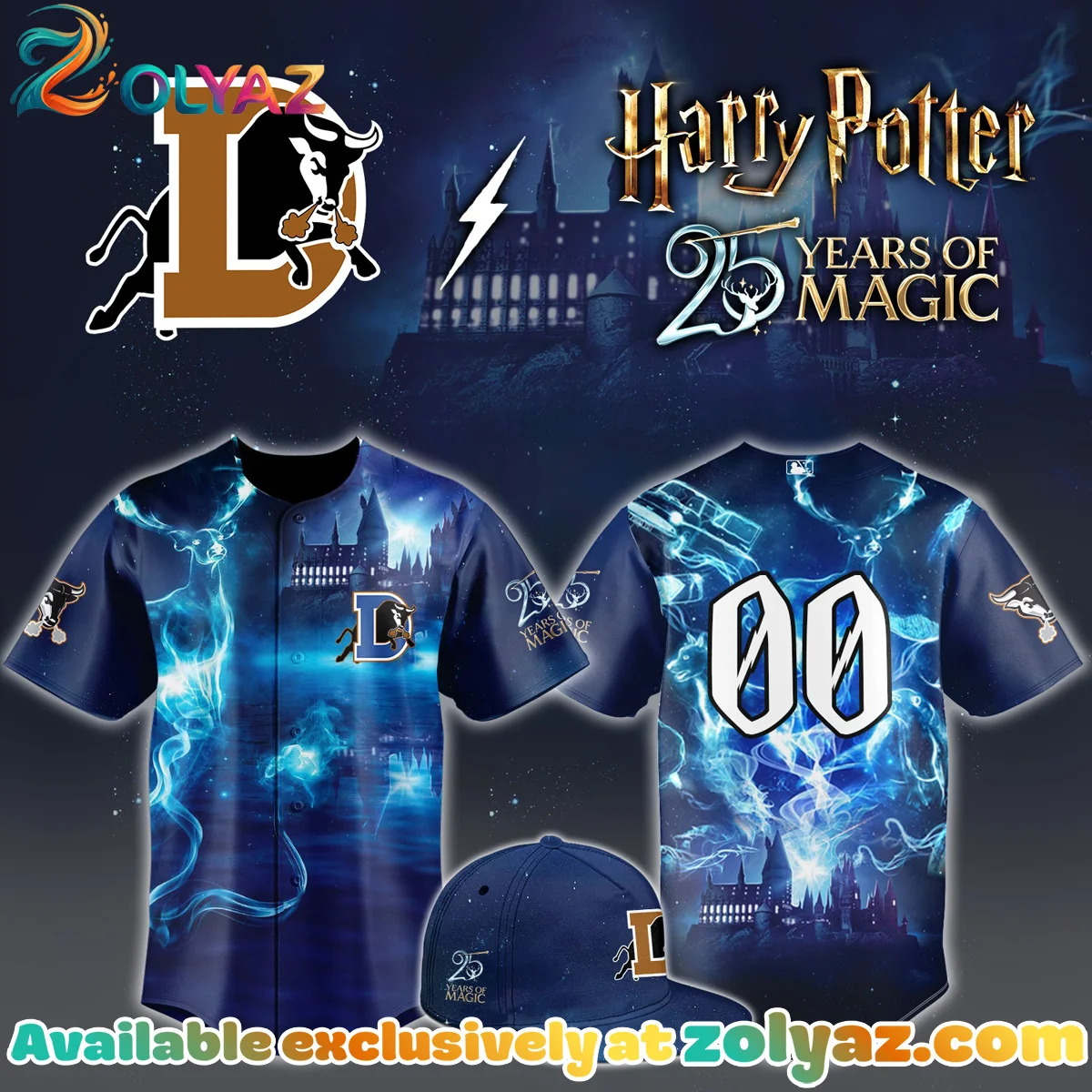 Bulls x Harry Potter Jersey