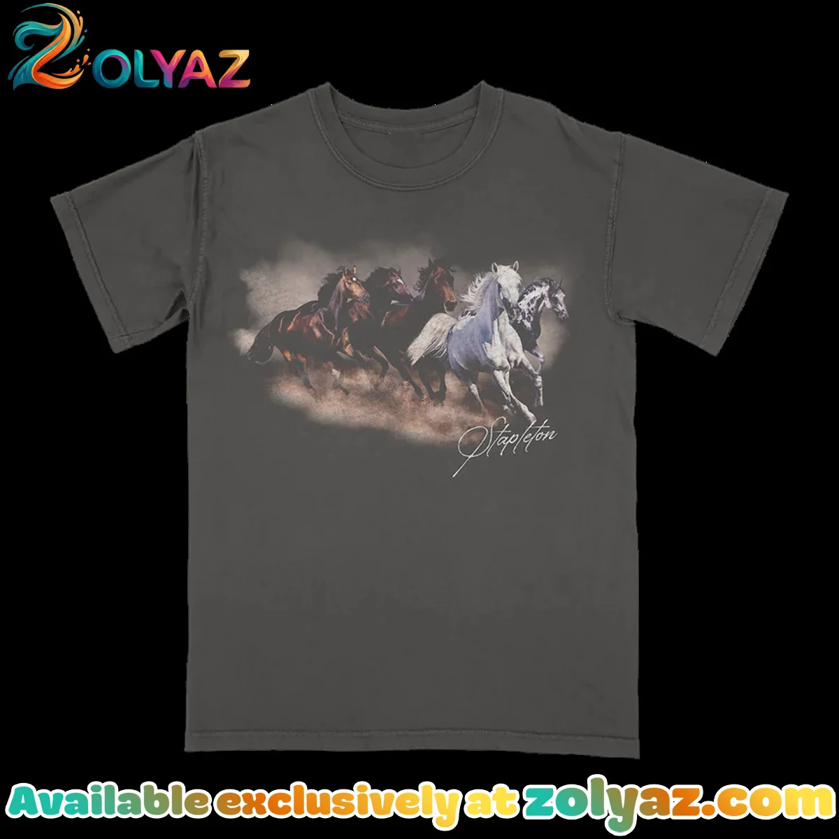 Chris Stapleton All-American Road Show T-Shirt & Hoodie - Part 17